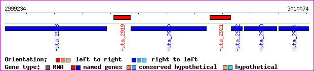 gene map