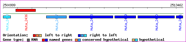 gene map