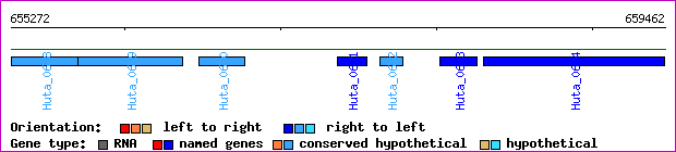 gene map