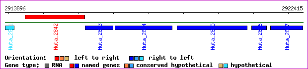 gene map