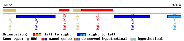gene map
