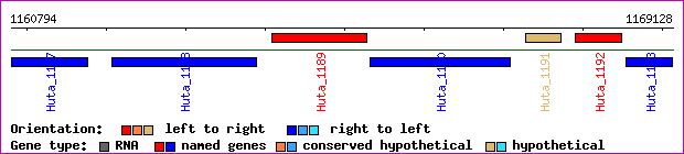 gene map