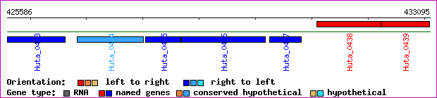 gene map