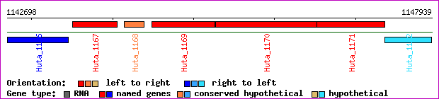 gene map