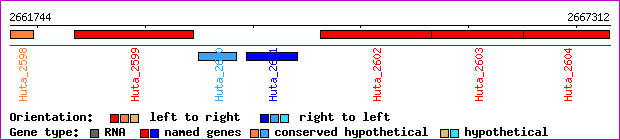 gene map