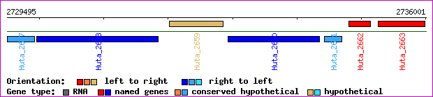 gene map