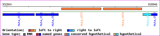 gene map