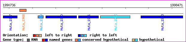 gene map