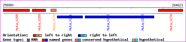gene map