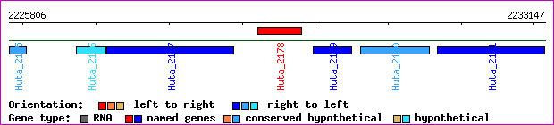 gene map