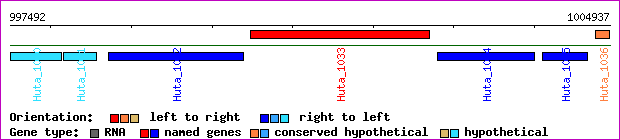 gene map