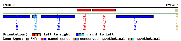 gene map