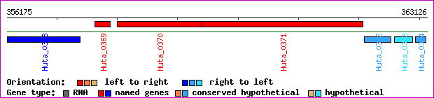 gene map
