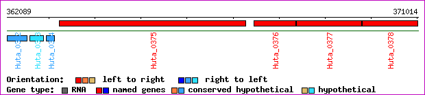 gene map