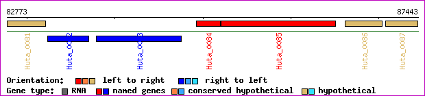 gene map