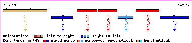 gene map