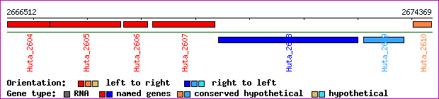 gene map