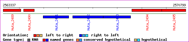 gene map