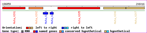 gene map