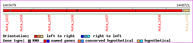 gene map