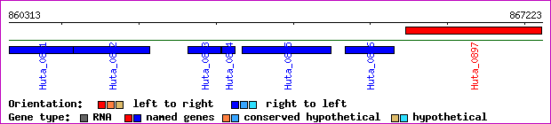 gene map