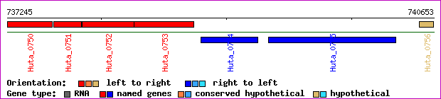 gene map
