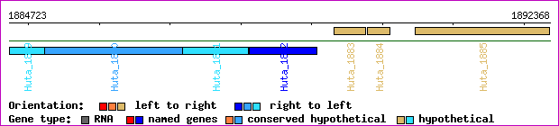 gene map