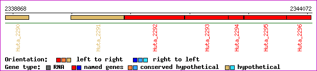 gene map