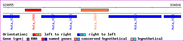 gene map