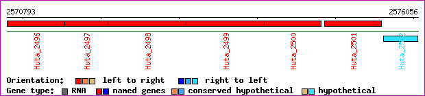 gene map