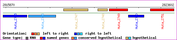 gene map