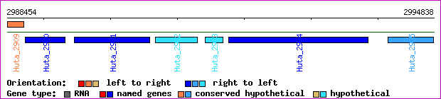 gene map