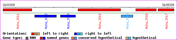 gene map