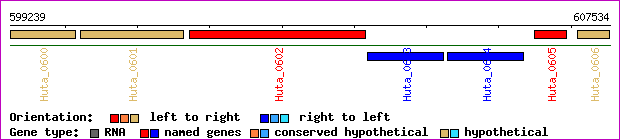 gene map