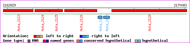 gene map
