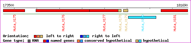 gene map