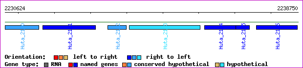 gene map