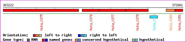 gene map