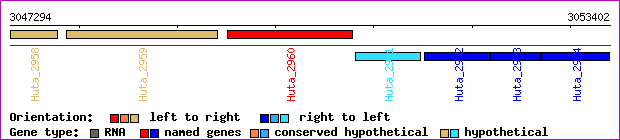 gene map