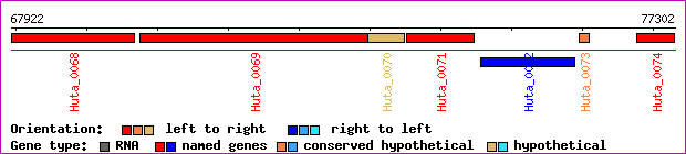gene map