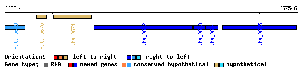 gene map