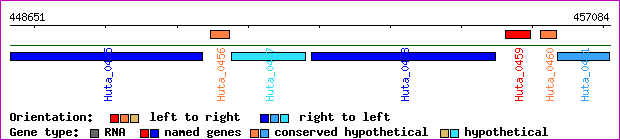 gene map