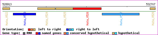 gene map