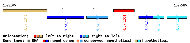 gene map