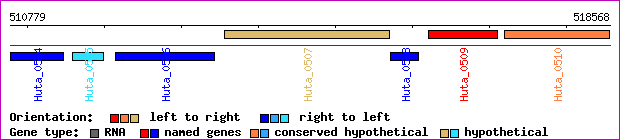gene map