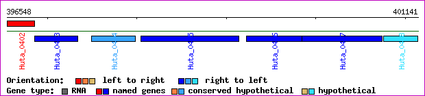 gene map