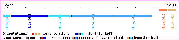 gene map
