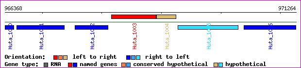 gene map