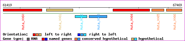 gene map