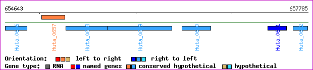 gene map